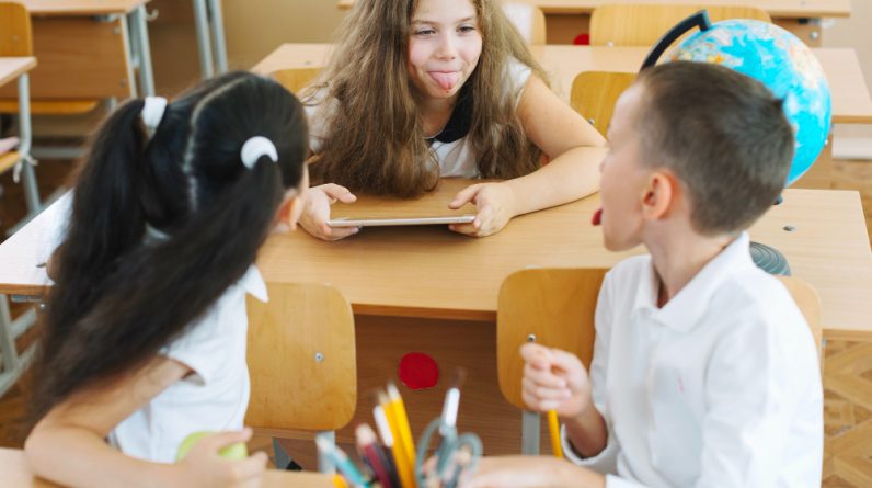 what is an iep in education